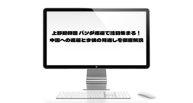 上野動物園 パンダ返還で注目集まる！中国への返還と今後の見通しを徹底解説